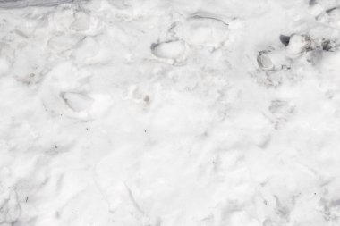 temiz beyaz kar arka plan