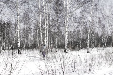 Güzel kış karlı manzarası