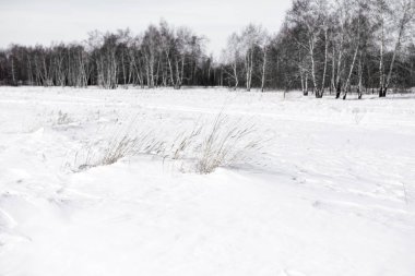 Güzel kış karlı manzarası