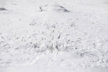 temiz beyaz kar arka plan