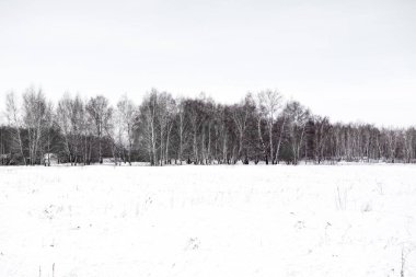 Güzel kış karlı manzarası