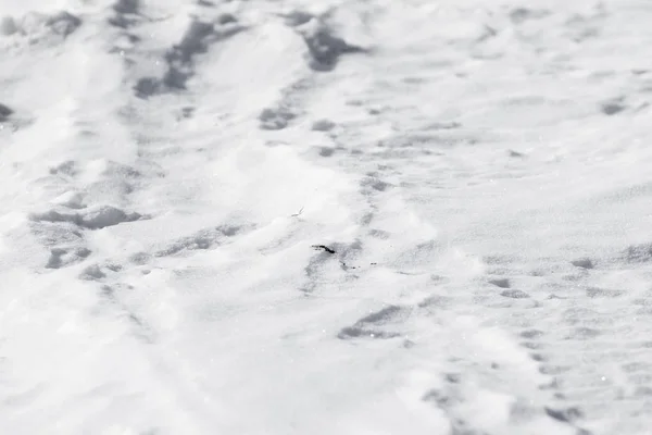 Weiße Schneehaufen — Stockfoto