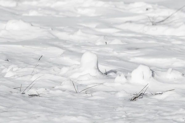 Piękny Zimowy Śnieżny Krajobraz — Zdjęcie stockowe