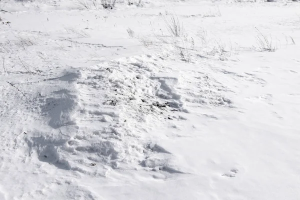 Schöne Winterliche Schneelandschaft — Stockfoto