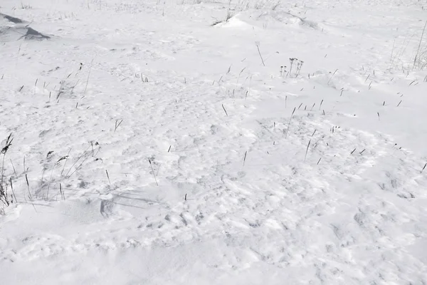 Sauberer Weißer Schnee Hintergrund — Stockfoto