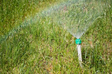 Sulama sistemi yeşil çim sulama