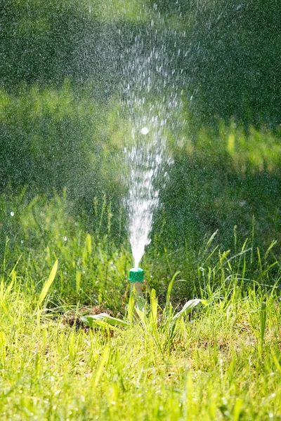 Irrigation System Watering Green Grass — Stock Photo, Image