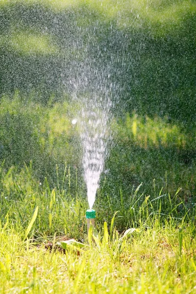 Irrigation System Watering Green Grass — Stock Photo, Image
