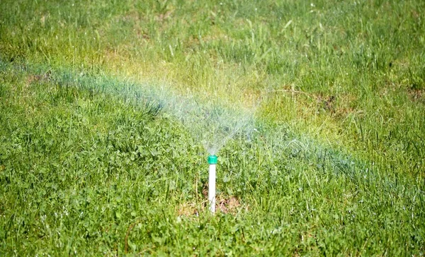 Bevattning System Vattning Det Gröna Gräset — Stockfoto