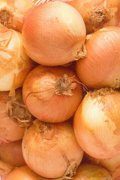 Cebollas Cuadrícula Sobre Fondo Blanco — Foto de Stock