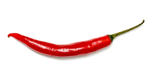 Roter Chili Bitter Auf Weißem Hintergrund — Stockfoto