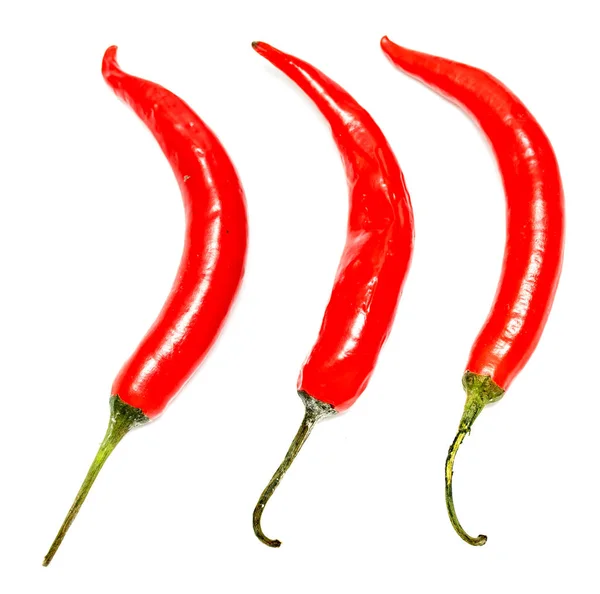 Keserű Fehér Alapon Piros Chili Paprika — Stock Fotó