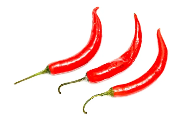 Rode Chili Peper Bittere Witte Achtergrond — Stockfoto