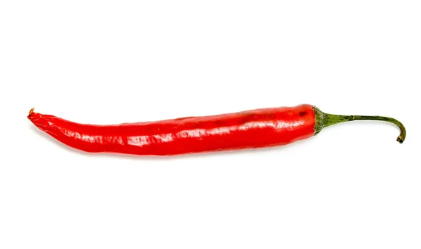 Red Chile Pepper Bitter White Background — Stock Photo, Image