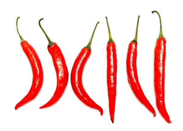 Rode Chili Peper Bittere Witte Achtergrond — Stockfoto