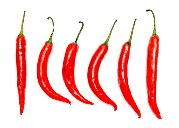 Keserű Fehér Alapon Piros Chili Paprika — Stock Fotó