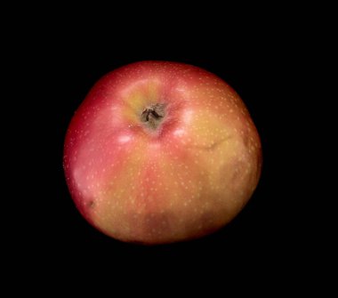 Siyah bir arka plan üzerinde izole olgun elma