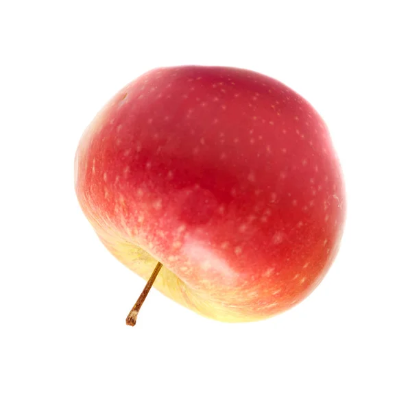 Ripe Apple White Background — Stock Photo, Image