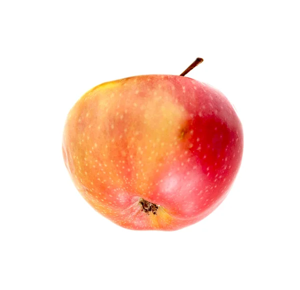 Moget Äpple Vit Bakgrund — Stockfoto