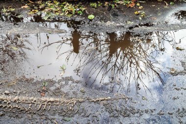 asfalt üzerinde su birikintisi