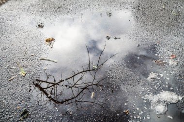 asfalt üzerinde su birikintisi