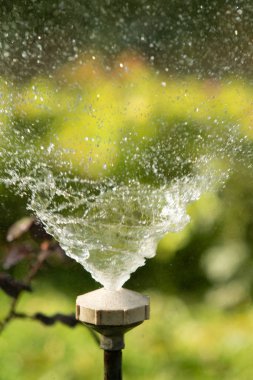 defocused, bulanık su, bokeh doğa damla