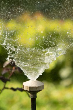 defocused, bulanık su, bokeh doğa damla