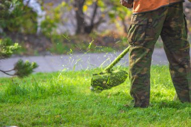 yeşil çim çim biçme