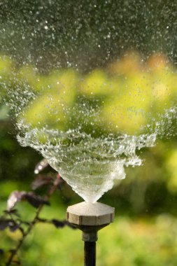 defocused, bulanık su, bokeh doğa damla