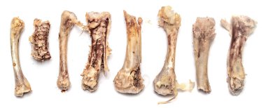 tavuk kemikleri yiyecek yığını