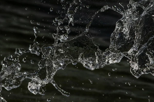 bir karanlık bokeh arka plan üstünde su damlaları