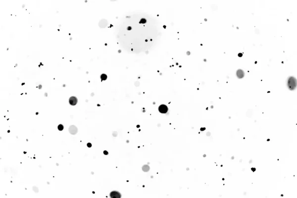 白色背景模糊的黑色波克 — 图库照片