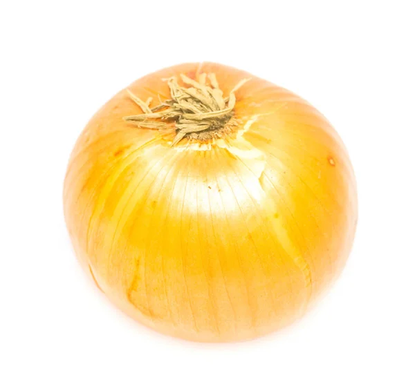 Onions White Background — Stock Photo, Image