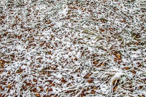 Sonbahar, karda çimen bırakır.