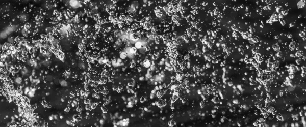 water drops in the air on a dark bokeh background