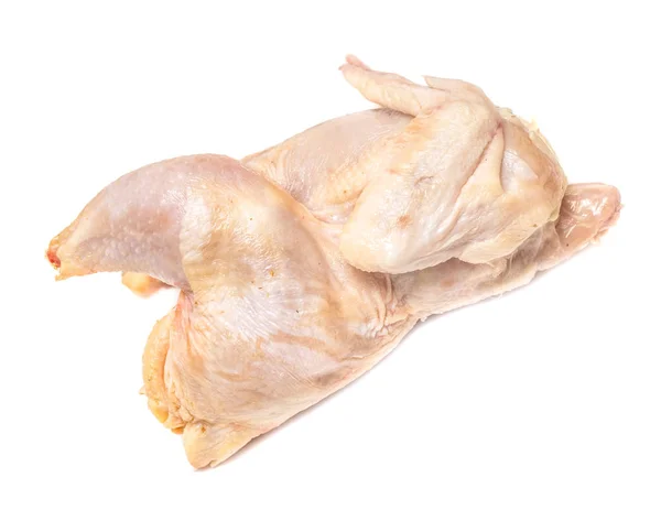 Chicken Meat Carcass White Background — Stock Photo, Image