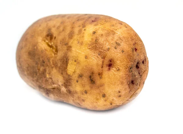 Κονδύλων Πατάτας Λευκό Φόντο — Φωτογραφία Αρχείου