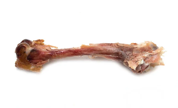 Chicken Bones Eating White Background — Stock Photo, Image