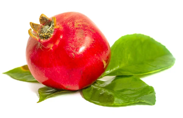 Granátové Jablko Červené Zelené Listy Izolované Bílém Pozadí — Stock fotografie