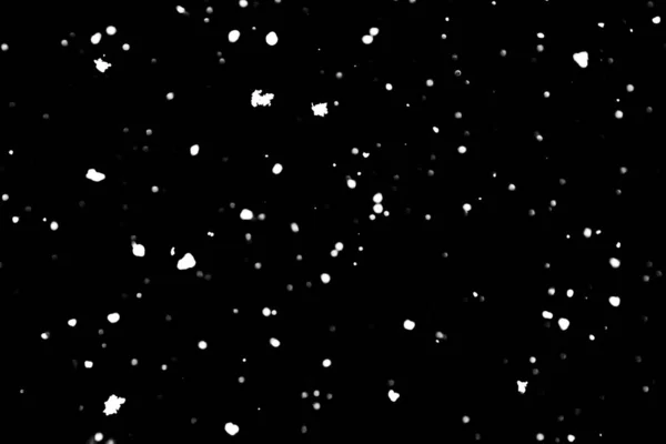 Bílé Tečky Černém Sníh Bokeh Pozadí — Stock fotografie