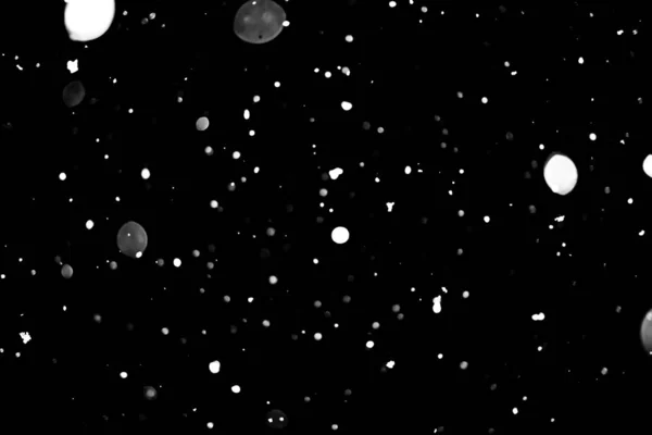 黒雪ボケ背景に白ドット — ストック写真