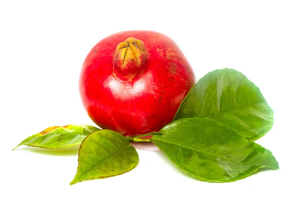 Roter Granatapfel Und Grüne Blätter Isoliert Auf Weißem Hintergrund — Stockfoto