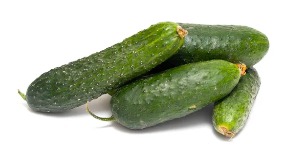 Fresh Green Cucumber White Background — Stock Photo, Image