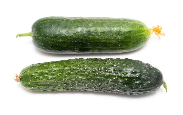 Verse Groene Komkommer Witte Achtergrond — Stockfoto