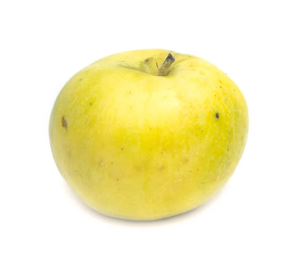 Moget Äpple Vit Bakgrund — Stockfoto