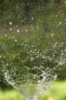 defocused, bulanık su, bokeh doğa damla