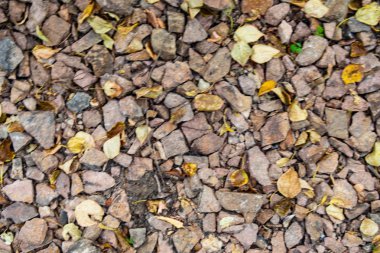 tam kare görünümü yol ezilmiş taş yol