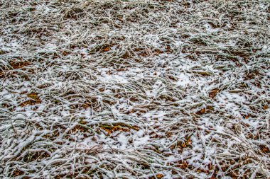 Sonbahar, karda çimen bırakır.