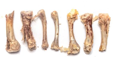 tavuk kemikleri yiyecek yığını