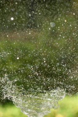 defocused, bulanık su, bokeh doğa damla